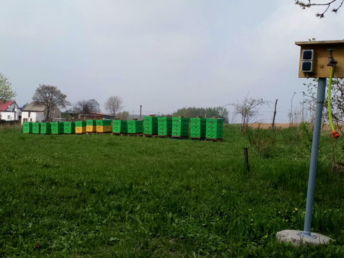 Gospodarstwo U Krakusa Doboszowice Eksteriør billede